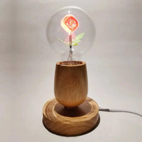 Thumbnail for Vintage Art Light Bulb