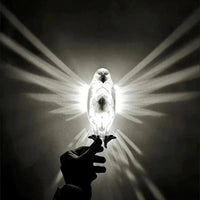 Thumbnail for Creative 3D Bird Wall Projection Lamp