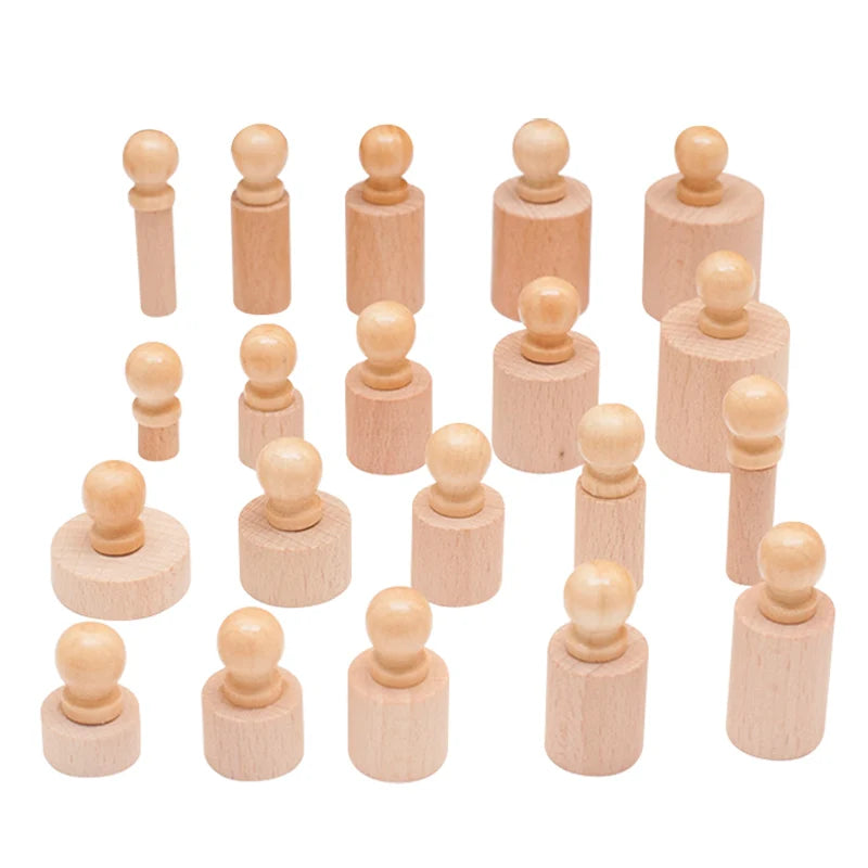 Montessori Knobbed Cylinder Blocks