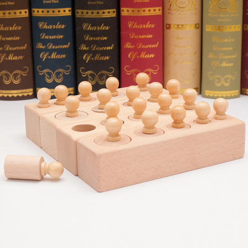 Montessori Knobbed Cylinder Blocks