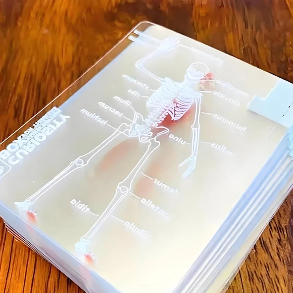 The Body Deck™ – Transparent 3D Anatomy Playing Cards