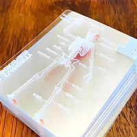 Thumbnail for The Body Deck™ – Transparent 3D Anatomy Playing Cards