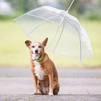 Thumbnail for Pet Umbrella