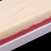 Thumbnail for Silicone Human Skin Model Suture Practice Pad Surgical Training Practice Tool