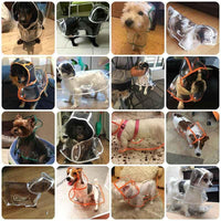 Thumbnail for Pets Waterproof Transparent Rain Cover Jacket