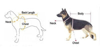 Thumbnail for Pets Waterproof Transparent Rain Cover Jacket