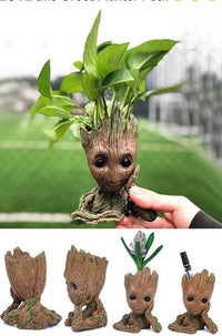 Thumbnail for Creative Grootman Flowerpot