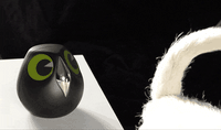 Thumbnail for Super Cute Owl Smart Camera