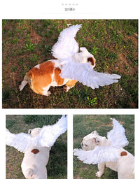 Thumbnail for Angel Wings For Pets