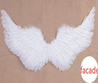 Thumbnail for Angel Wings For Pets