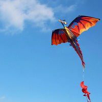 Thumbnail for Hot Dragon Long Tail Kite