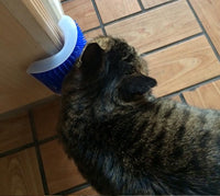 Thumbnail for Cat Self Groomer Brush With Catnip