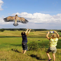 Thumbnail for 1.1m Flat Eagle Kite
