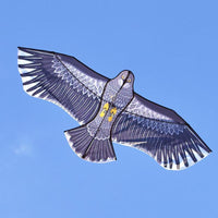 Thumbnail for 1.1m Flat Eagle Kite
