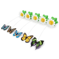 Thumbnail for Electric Rotating Cat Butterfly