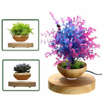Thumbnail for Magnetic Levitating Plant Pot
