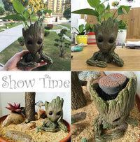 Thumbnail for Creative Grootman Flowerpot