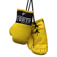 Thumbnail for Mini Boxing Gloves