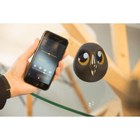 Thumbnail for Super Cute Owl Smart Camera