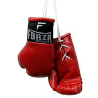 Thumbnail for Mini Boxing Gloves