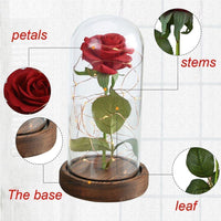 Thumbnail for Enchanted Rose Flower Lamp