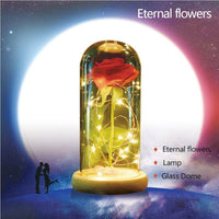 Thumbnail for Enchanted Rose Flower Lamp